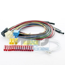 PIECES POUR SYSTEMES DE GESTION MOTEUR